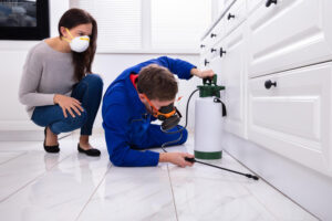 Ants in the House: When It’s Worth Hiring an Exterminator